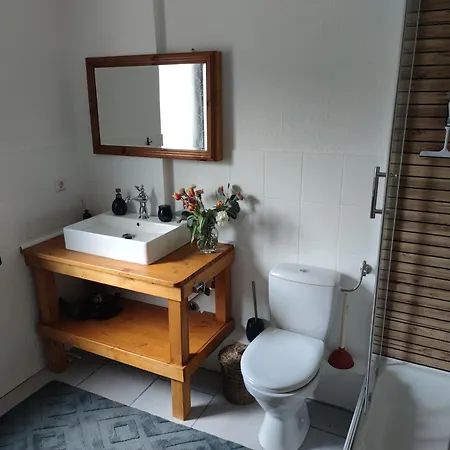 شقة Nest - Grosse Gemuetliche Mit Terrasse, Zentral Gelegen, Fuer Paare, Familien Und Hunde! غوتنغن