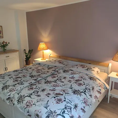 Apartment Nest - Grosse Gemuetliche Mit Terrasse, Zentral Gelegen, Fuer Paare, Familien Und Hunde!