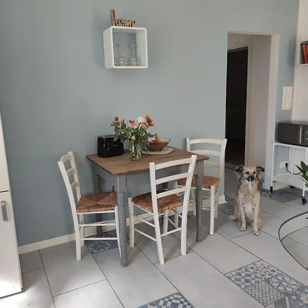 Nest - Grosse Gemuetliche Mit Terrasse, Zentral Gelegen, Fuer Paare, Familien Und Hunde! Гёттинген