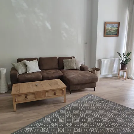 Nest - Große Gemütliche Mit Terrasse, Zentral Gelegen, Für Paare, Familien Und Hunde! Apartment