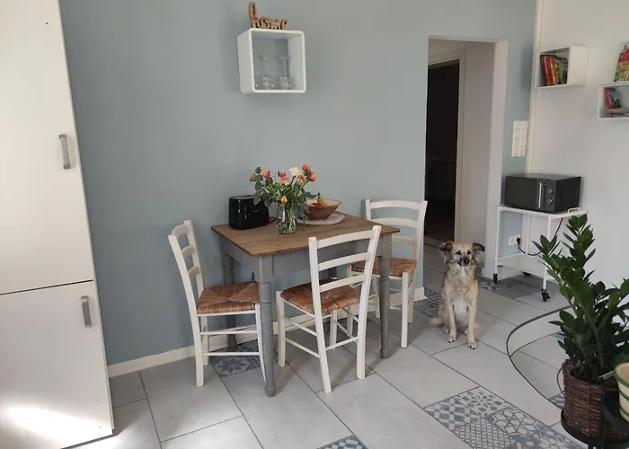 Nest - Grosse Gemuetliche Mit Terrasse, Zentral Gelegen, Fuer Paare, Familien Und Hunde! Göttingen